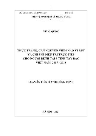 Luận án Thực trạng, căn nguyên viêm não vi rút và chi phí điều trị trực tiếp cho người bệnh tại 3 tỉnh Tây Bắc Việt Nam, 2017-2018