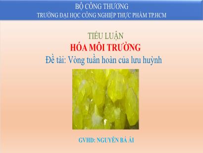 Đề tài Vòng tuần hoàn của lưu huỳnh