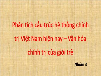 Phân tích cấu trúc hệ thống chính trị Việt Nam hiện nay – Văn hóa chính trị của giới trẻ