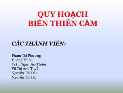 Quy hoạch biển Thiên Cầm Quy hoạch biển Thiên Cầm